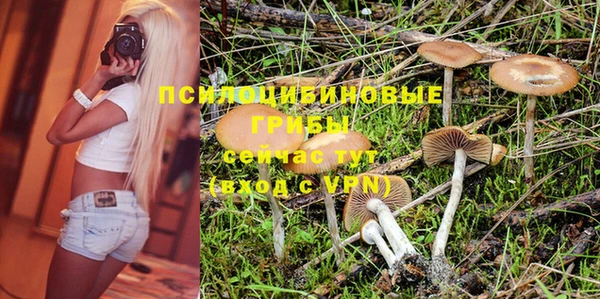 эйфоретик Кулебаки