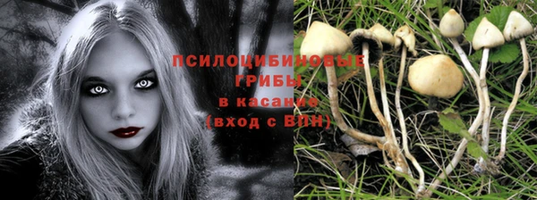 прущий лед Фёдоровский